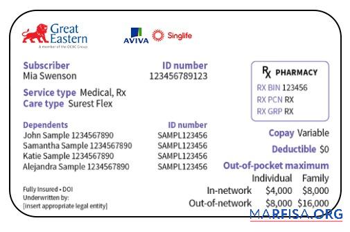 Downloadable Singapore health insurance card template